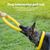 Pawzy Jouet chien indestructible - Anneau flottant ultra-résistant