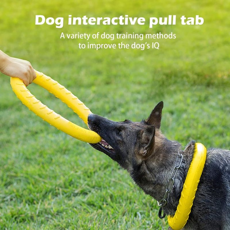 Pawzy Jouet chien indestructible - Anneau flottant ultra-résistant