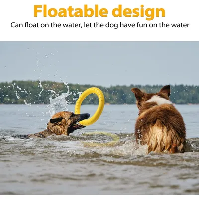 Pawzy Jouet chien indestructible - Anneau flottant ultra-résistant