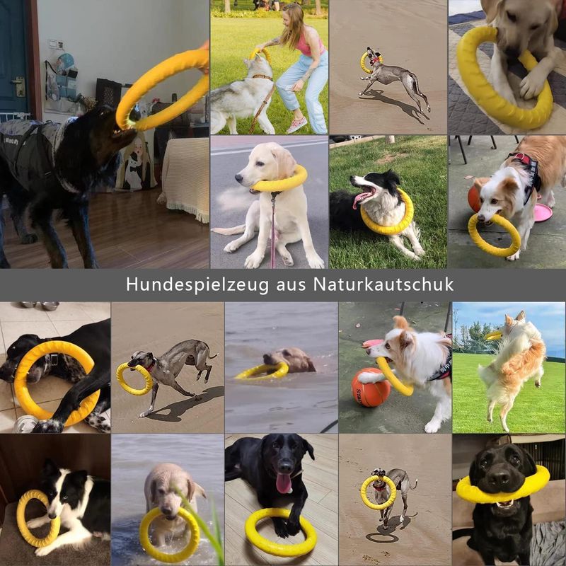 Pawzy Jouet chien indestructible - Anneau flottant ultra-résistant