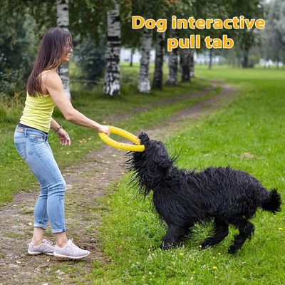 Pawzy Jouet chien indestructible - Anneau flottant ultra-résistant