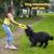 Pawzy Jouet chien indestructible - Anneau flottant ultra-résistant