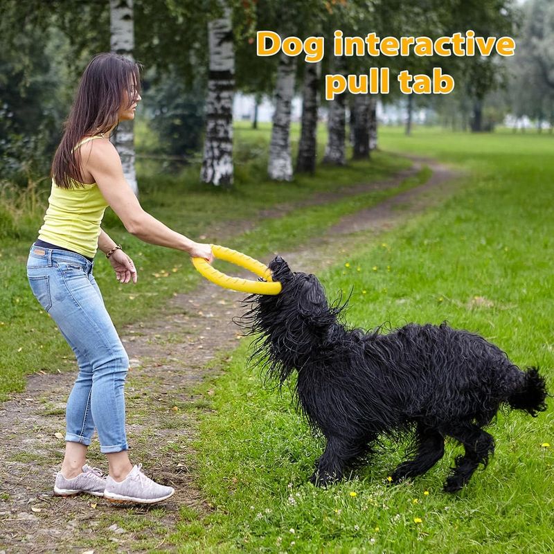 Pawzy Jouet chien indestructible - Anneau flottant ultra-résistant