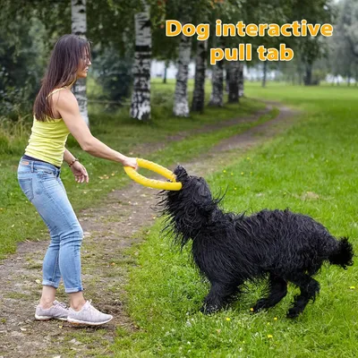 Pawzy Jouet chien indestructible - Anneau flottant ultra-résistant