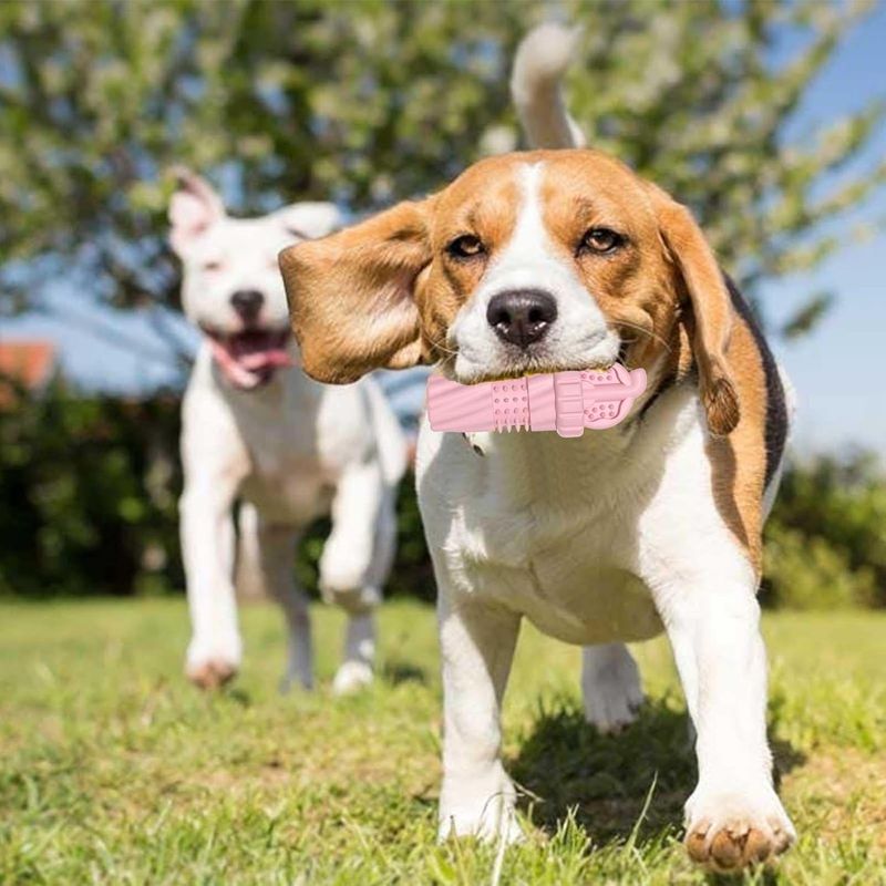 Pawzy Jouet à mâcher TPR pour chien - Nettoyage dentaire