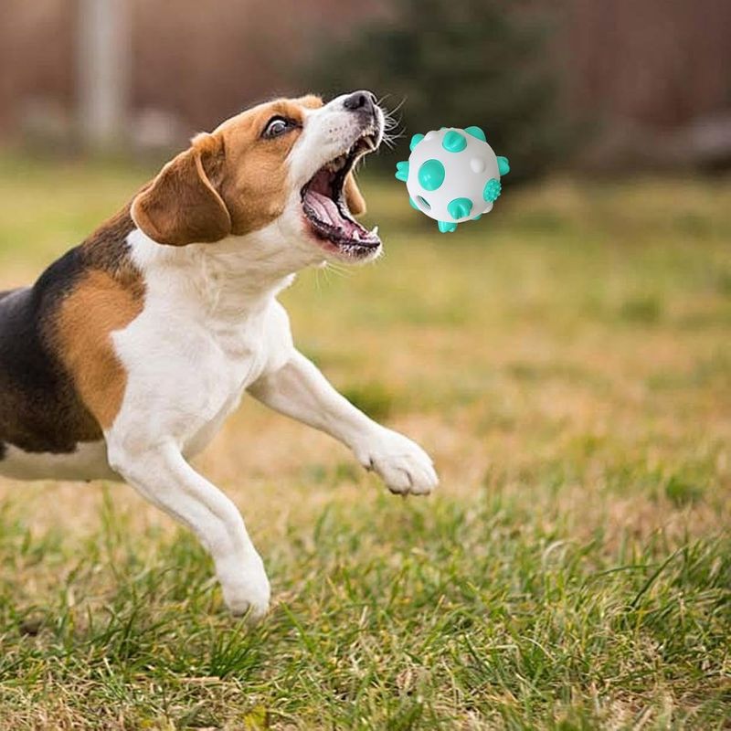Pawzy Jouet à mâcher pour chiot - Résistant et ludique