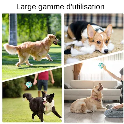 Pawzy Jouet à mâcher pour chiot - Résistant et ludique