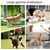 Pawzy Jouet à mâcher pour chiot - Résistant et ludique