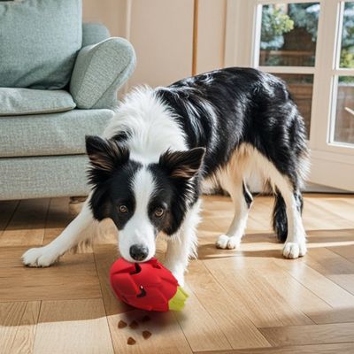 Pawzy Jouet dentaire résistant - Anti-ennui pour chien