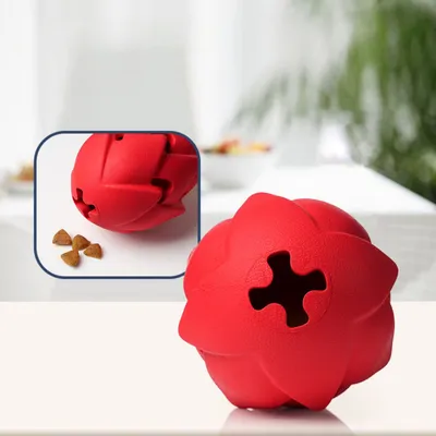 Pawzy Jouet dentaire résistant - Anti-ennui pour chien