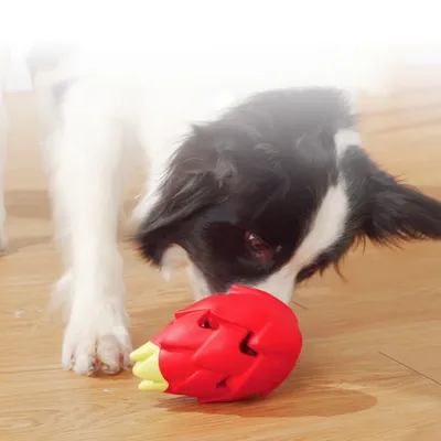 Pawzy Jouet dentaire résistant - Anti-ennui pour chien