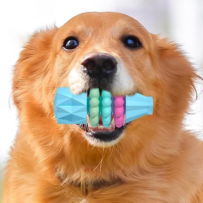 Pawzy Juguetes Dentales para Cachorros