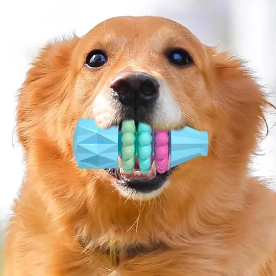 Pawzy Juguetes Dentales para Cachorros