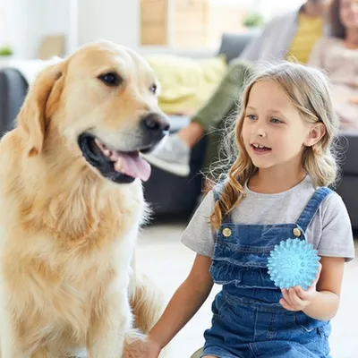 Pawzy Lot de 2 balles à picots pour chien - Résistantes et couinantes