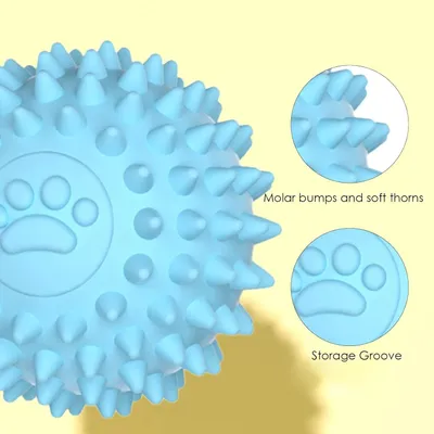 Pawzy Lot de 2 balles à picots pour chien - Résistantes et couinantes