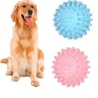 Pawzy Lot de 2 balles à picots pour chien - Résistantes et couinantes