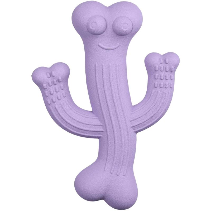 Pawzy Jouet Cactus Durable pour Gros Mâcheurs