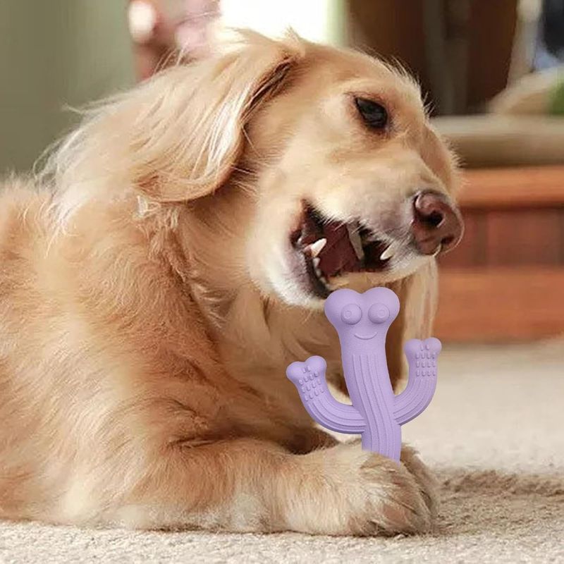 Pawzy Jouet Cactus Durable pour Gros Mâcheurs