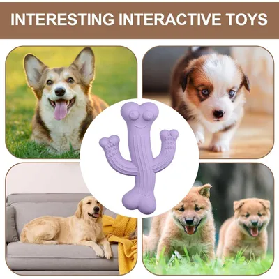 Pawzy Jouet Cactus Durable pour Gros Mâcheurs