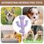 Pawzy Jouet Cactus Durable pour Gros Mâcheurs