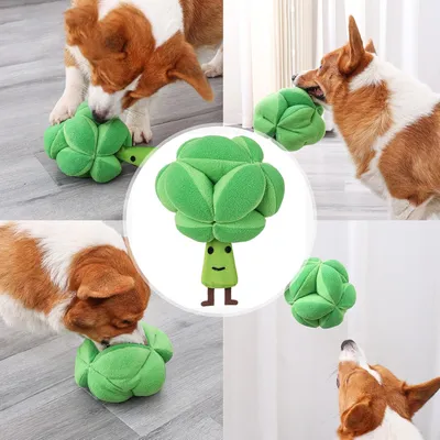 Pawzy Jouet brocoli pour chien - Peluche grinceuse