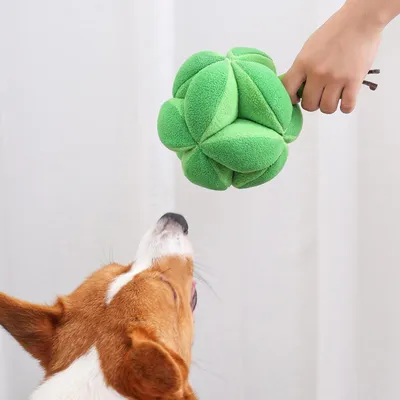 Pawzy Jouet brocoli pour chien - Peluche grinceuse