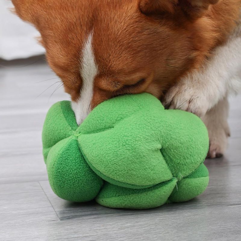 Pawzy Jouet brocoli pour chien - Peluche grinceuse