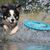Pawzy Jouet en silicone à mâcher pour chien