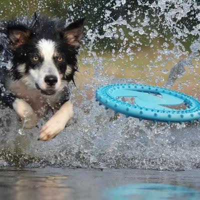 Pawzy Jouet en silicone à mâcher pour chien