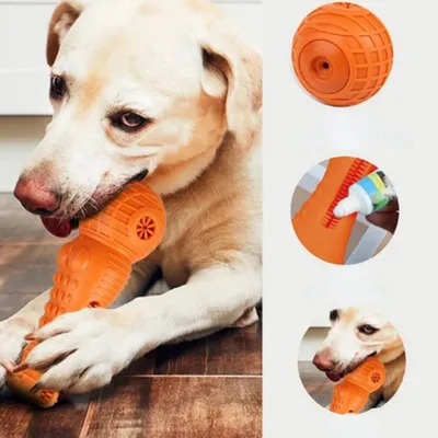 Pawzy Jouet de dentition Anti-rongeur, orange (18,8x6,5cm)