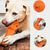 Pawzy Jouet de dentition Anti-rongeur, orange (18,8x6,5cm)