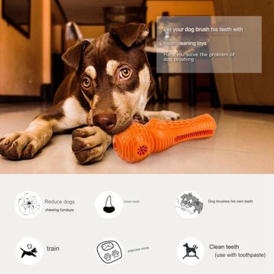 Pawzy Jouet de dentition Anti-rongeur, orange (18,8x6,5cm)