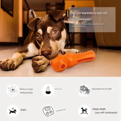 Pawzy Jouet de dentition Anti-rongeur, orange (18,8x6,5cm)