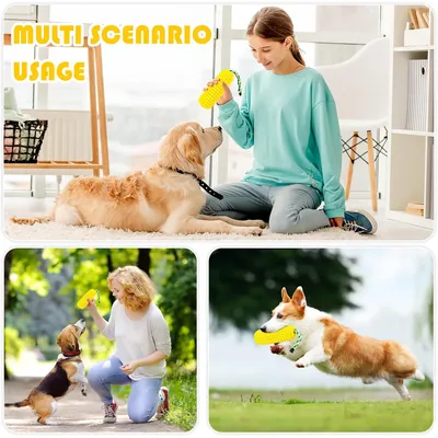 Pawzy Jouet indestructible pour chien - Nettoyage des dents