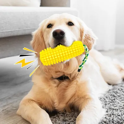 Pawzy Jouet indestructible pour chien - Nettoyage des dents
