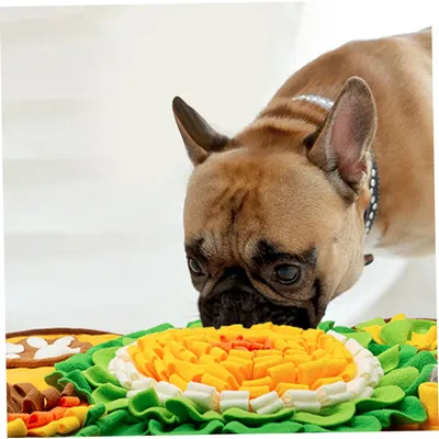 Pawzy Tapis de reniflage pour chien - Lavable et antidérapant