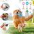 Pawzy 3 jouets à mâcher pour chiots - Santé dentaire