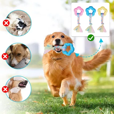 Pawzy 3 jouets à mâcher pour chiots - Santé dentaire