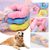 Pawzy 3 jouets à mâcher pour chiots - Santé dentaire