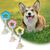 Pawzy 3 jouets à mâcher pour chiots - Santé dentaire