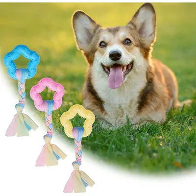 Pawzy 3 jouets à mâcher pour chiots - Santé dentaire