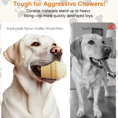 Pawzy Jouet d'été rafraîchissant