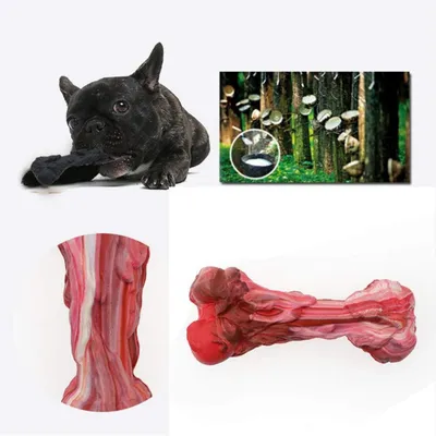 Pawzy Balle ultra-résistante pour chien