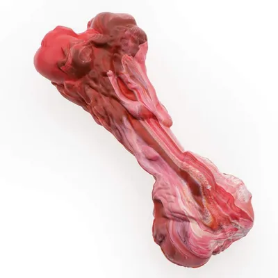 Pawzy Balle ultra-résistante pour chien