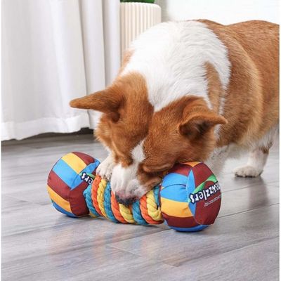 Pawzy Jouet à mâcher indestructible pour chien