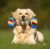 Pawzy Jouet à mâcher indestructible pour chien