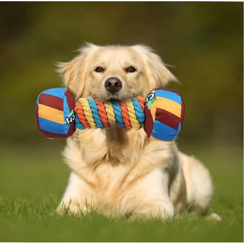 Pawzy Jouet à mâcher indestructible pour chien
