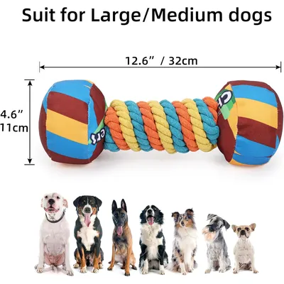 Pawzy Jouet à mâcher indestructible pour chien