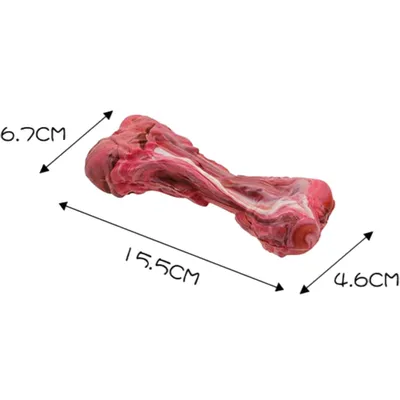 Pawzy Jouet à Mâcher Solide pour Grand Chien