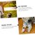 Pawzy Jouet à mâcher interactif pour chien